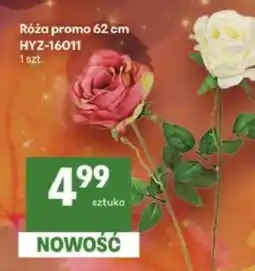 Delikatesy Centrum Róża promo 62 cm oferta