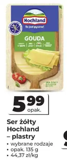 Odido Ser żółty Hochland – plastry oferta