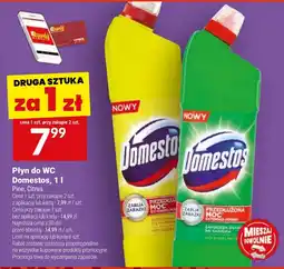 Twój Market Płyn do WC Domestos oferta
