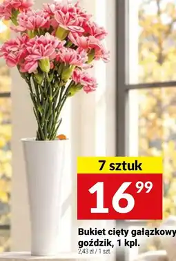 Twój Market Bukiet cięty gałązkowy goździk oferta