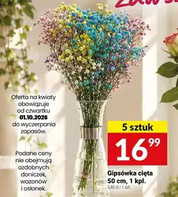 Twój Market Gipsówka cięta oferta