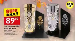 Twój Market Znicz solarny LED Róża A2 oferta