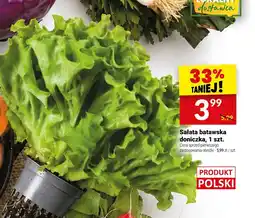 Twój Market Sałata batawska doniczka oferta