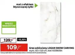 Leroy Merlin Gres szkliwiony LOGAN SNOW CARVING oferta