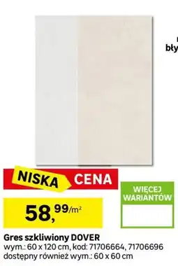 Leroy Merlin Gres szkliwiony DOVER oferta