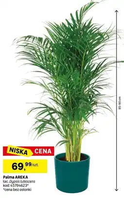 Leroy Merlin Palma AREKA oferta