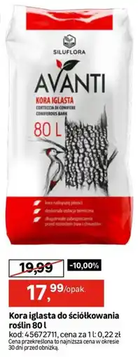 Leroy Merlin Siluflora Avanti Kora Iglasta oferta