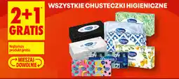 Biedronka Chusteczki higieniczne Queen oferta