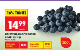 Biedronka Borówka amerykańska, opak oferta