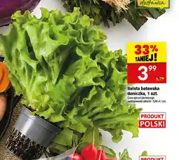 Twój Market Sałata batawska doniczka oferta