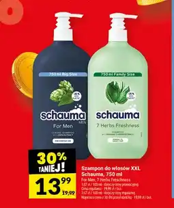 Twój Market Szampon do włosów XXL Schauma For Men oferta