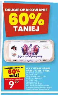Twój Market Jajka kurze z wolnego wybiegu Pytlas L oferta