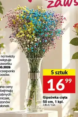 Twój Market Gipsówka cięta 50 cm oferta