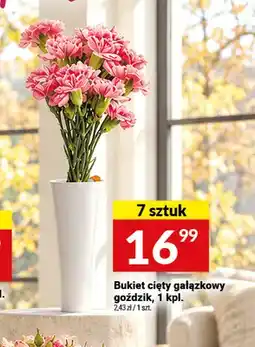 Twój Market Bukiet cięty gałązkowy goździk oferta