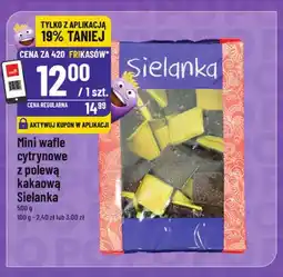 Polomarket Mini wafle cytrynowe z polewą kakaową Sielanka oferta