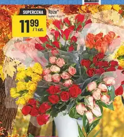 Polomarket Róże bukiet 9 szt oferta