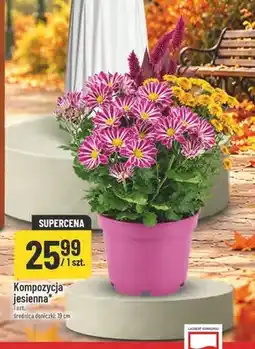 Polomarket Kompozycja jesienna oferta