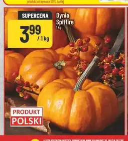 Polomarket Dynia Spitfire oferta