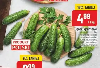 Ogórki gruntowe