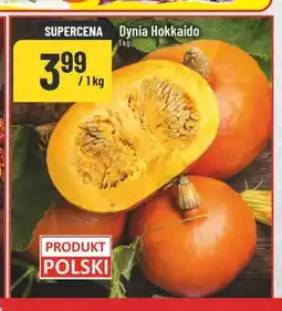 Polomarket Dynia Hokkaido oferta