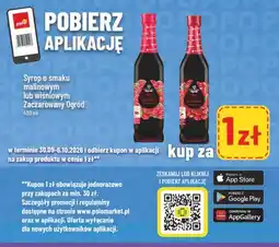Polomarket Syrop o smaku malinowym Zaczarowany Ogród oferta
