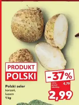 Kaufland Seler korzeń polski oferta