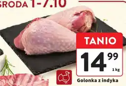 Intermarche Golonka z indyka oferta