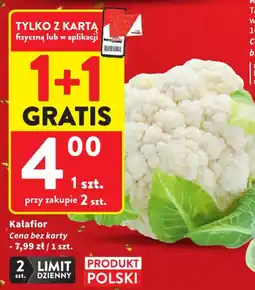 Intermarche Kalafior oferta