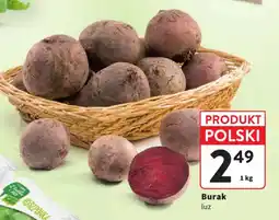 Intermarche Burak luz oferta