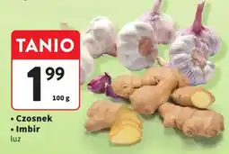 Intermarche Czosnek Imbir luz oferta