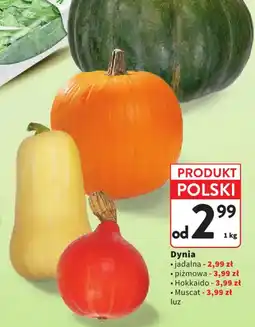 Intermarche Dynia oferta