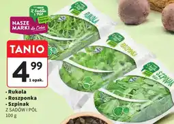 Intermarche Z Sadów i Pól Rukola, Roszponka, Szpinak oferta