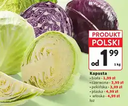 Intermarche Kapusta oferta