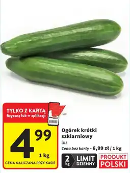 Intermarche Ogórek krótki szklarniowy oferta