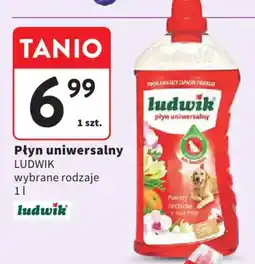 Intermarche Płyn uniwersalny LUDWIK oferta