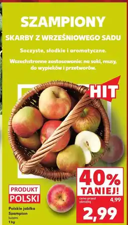 Kaufland Polskie jabłka Szampion luzem oferta
