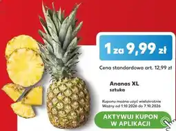 Kaufland Ananas XL oferta