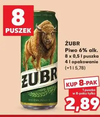 Kaufland Żubr Piwo 6% alk oferta