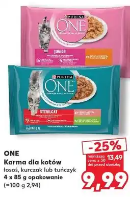 Kaufland ONE Karma dla kotów oferta