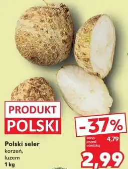 Kaufland Polski seler korzeń oferta