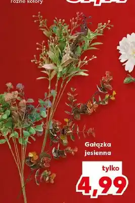Kaufland Gałązka jesienna oferta