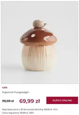 Home&You Pojemnik Funghedgin home & you oferta