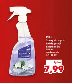Kaufland Spray do mycia i pielęgnacji nagrobków Mill oferta