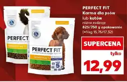 Kaufland Karma dla psów Perfect Fit oferta