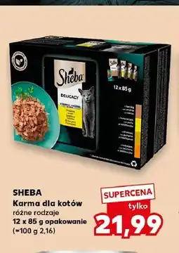 Kaufland Karma dla kotów Sheba 12-pak oferta