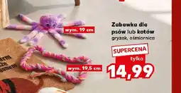 Kaufland Zabawka dla psów lub kotów gryzak 19,5 cm oferta
