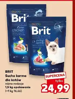 Kaufland Sucha karma dla kotów Brit Kitten chicken oferta