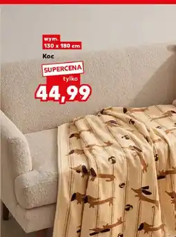 Kaufland Koc 130x180 cm oferta