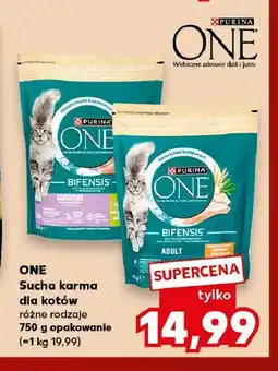 Kaufland Sucha karma dla kotów Purina One Bifensis Sensitive oferta