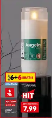 Kaufland Wkład olejowy Angela oferta